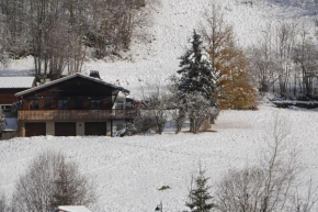 Chalet de montagne Pierre et Gaby non-fumeur hôte non professionnel Saint-Jean-D'aulps